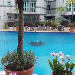 Ballota Park Condominium (D17), Condominium #447392561